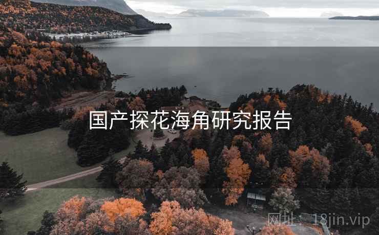 国产探花海角研究报告  第2张 国产探花海角研究报告  第2张