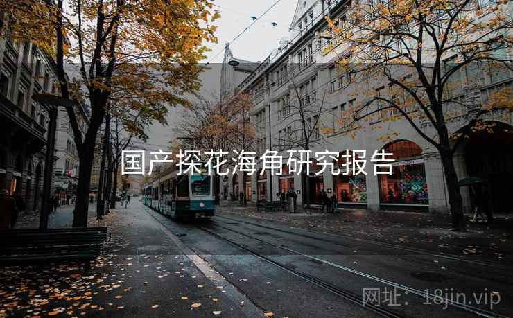 国产探花海角研究报告  第1张 国产探花海角研究报告  第1张