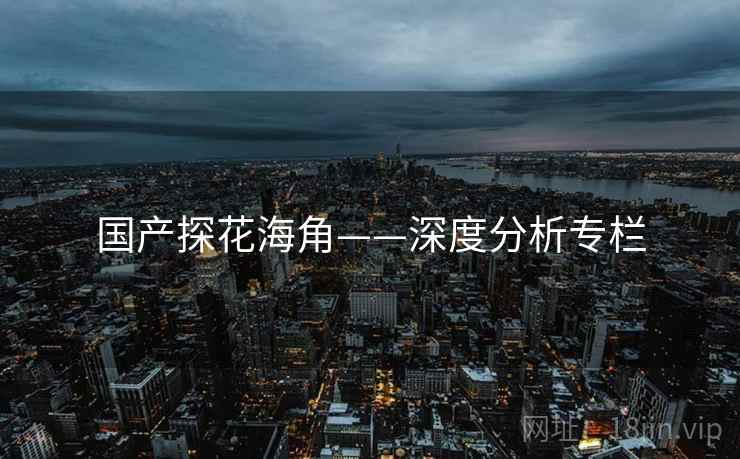 国产探花海角——深度分析专栏