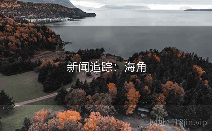新闻追踪:海角