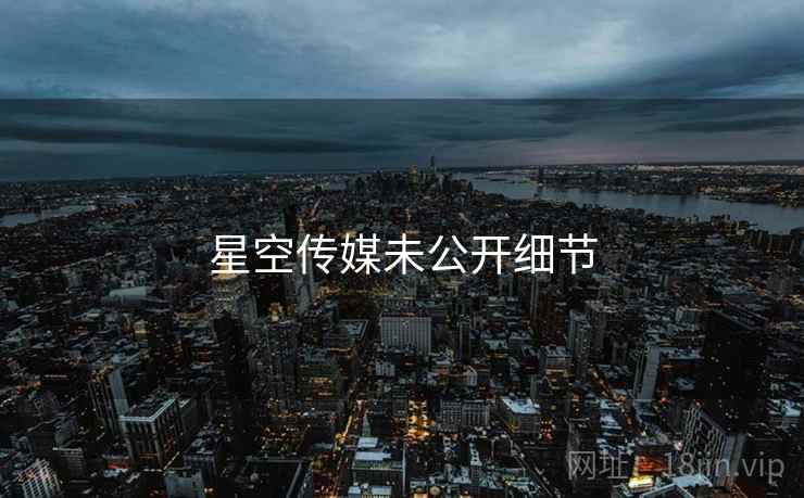 星空传媒未公开细节
