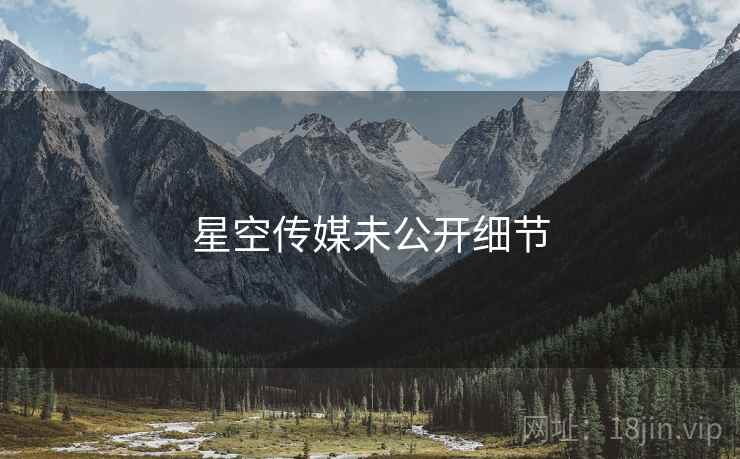 星空传媒未公开细节