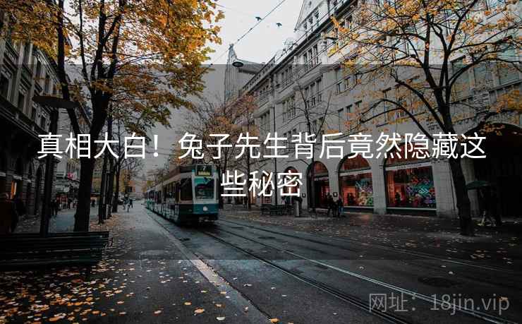 真相大白!兔子先生背后竟然隐藏这些秘密