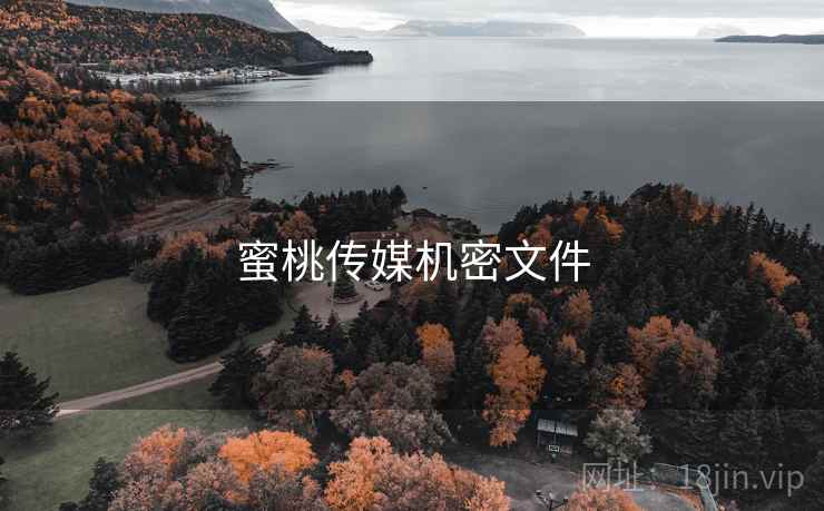 蜜桃传媒机密文件
