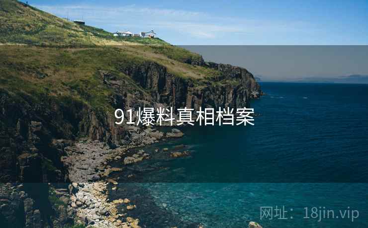 91爆料真相档案