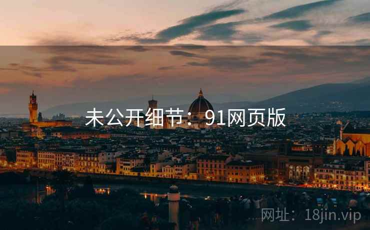 未公开细节:91网页版