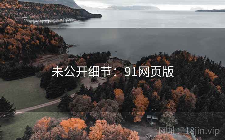 未公开细节:91网页版