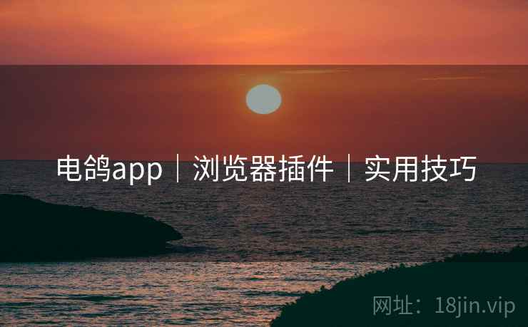 电鸽app｜浏览器插件｜实用技巧