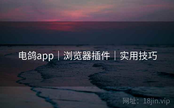 电鸽app｜浏览器插件｜实用技巧