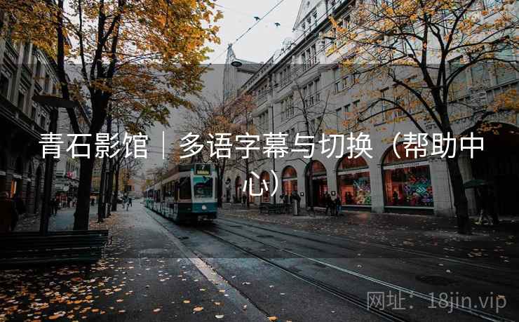 青石影馆｜多语字幕与切换（帮助中心）